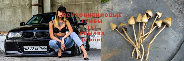 кристаллы Алексин