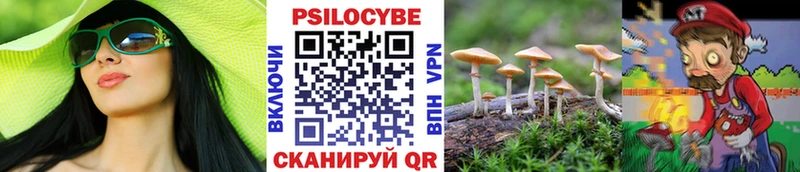 Псилоцибиновые грибы мицелий  наркошоп  Сосновый Бор 