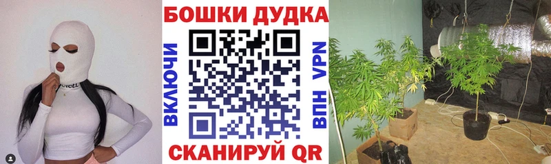 KRAKEN ONION  Сосновый Бор  Марихуана SATIVA & INDICA  где продают наркотики 